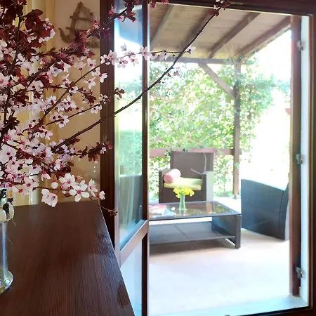 The Seaside Holiday home *